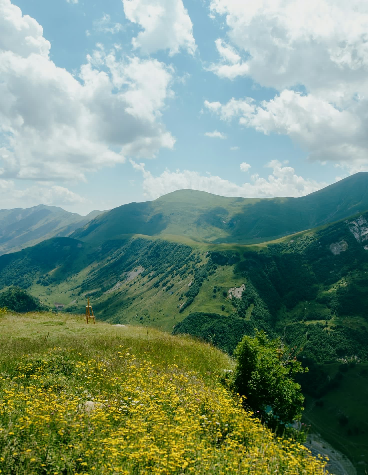 كيف تحافظ مزارع القوقاز على الاستدامة في الزراعة