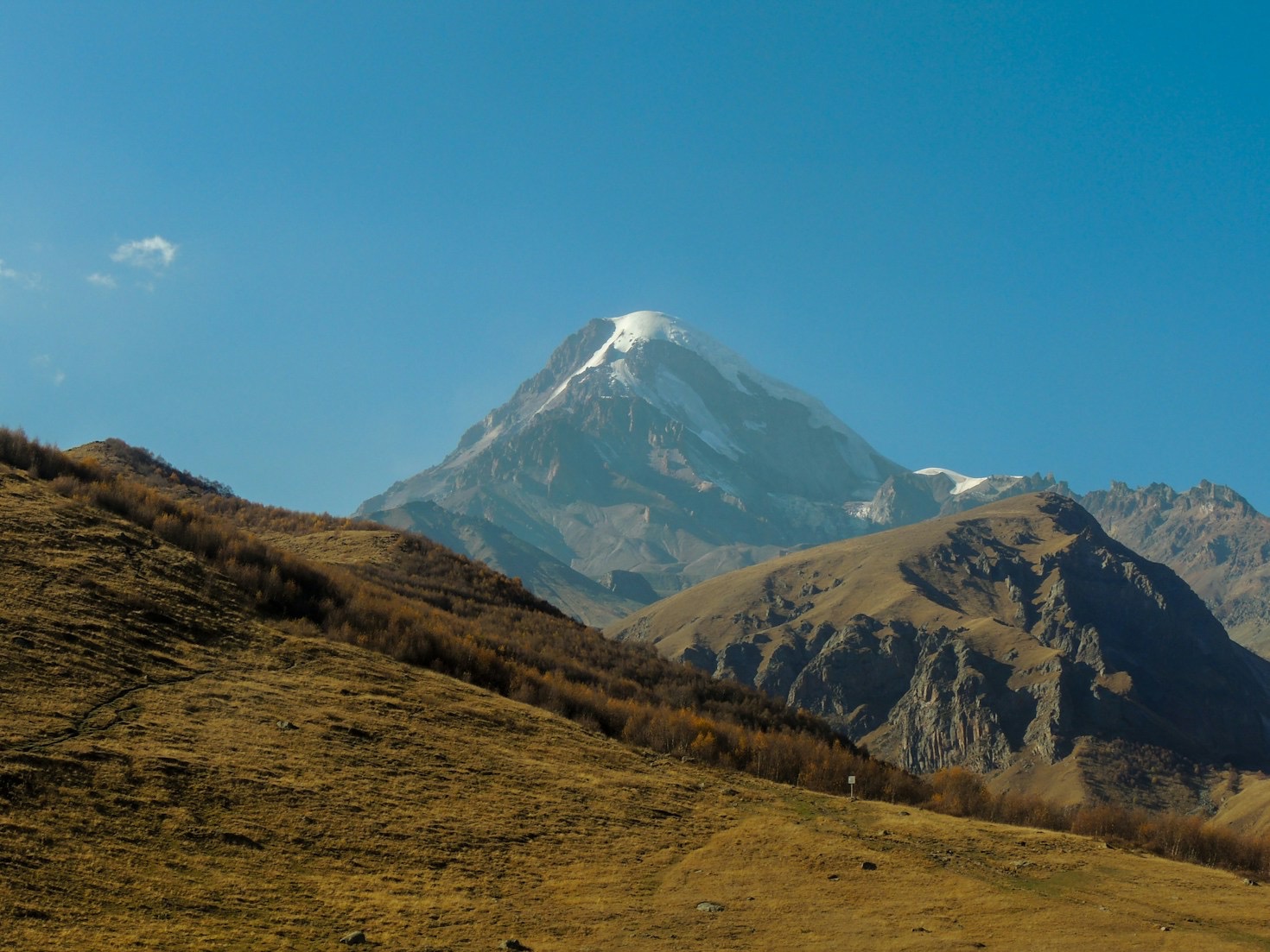 ما الذي يميز مزارع القوقاز عن غيرها؟